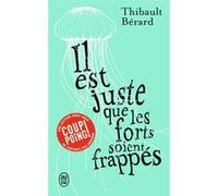 Il est juste que les forts soient frappés Bérard Thibault (Auteur)