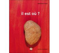 Il est où? - Christian Voltz - Rouergue - broché - Album jeunesse dès 3 ans