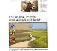 Il est un beau chemin semé d'épines et d'étoiles