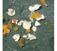 Il Était Temps (Sonate Pour Mégaphone) - Suivi De Cap