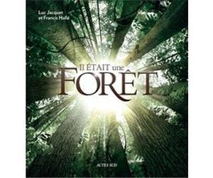 Il était une forêt Luc Jacquet (Auteur), Association wild touch (Auteur), Francis Hallé (Auteur)