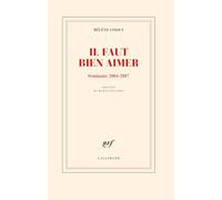 Il faut bien aimer: Séminaire 2004-2007