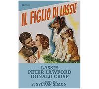 Il Figlio Di Lassie Dvd Italian Import