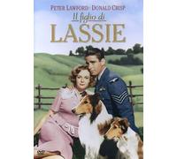 Il Figlio Di Lassie [Import]