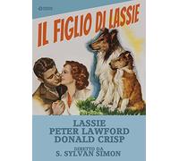 Il Figlio Di Lassie [Import]