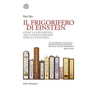 Il frigorifero di Einstein. Come la differenza tra caldo e freddo spiega l'universo