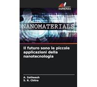 Il futuro sono le piccole applicazioni della nanotecnologia