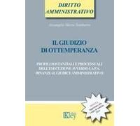 Il Giudizio Di Ottemperanza. Profili Sostanziali E Processuali Dell'esecuzione Avverso La P.A. Dinanzi Al Giudice Amministrativo