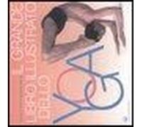 Il Grande Libro Illustrato Dello Yoga