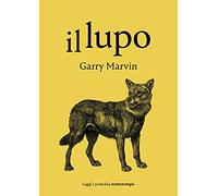 Il lupo