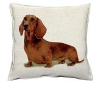 IL MAGGIOLINO | 40x40 Housse de Coussin en Gobelin avec imprimé Chien Teckel Marron, Double Tissage, Fermetures éclair Invisibles, Made in Italy