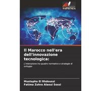 Il Marocco nell'era dell'innovazione tecnologica:: L'interazione tra quadro normativo e strategie di sviluppo