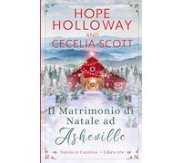 Il Matrimonio di Natale ad Asheville