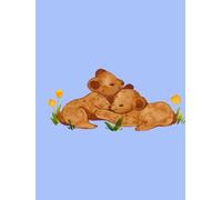 IL MIO ALBUM NASCITA: EDIZIONE GEMELLI