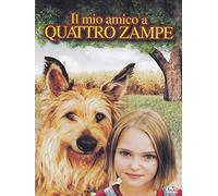 Il Mio Amico a Quattro zampe [Import]