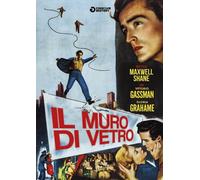Il Muro Di Vetro [Import]