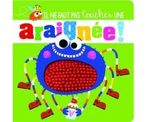 Il ne faut pas toucher une araignée ! Rosie Grenning (Auteur), Stuart Lynch (Illustration)