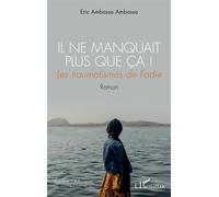 Il ne manquait plus que ça ! Les traumatismes de Fadie Roman - Eric Ambassa Ambassa - L'harmattan - broché - Roman