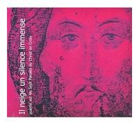 Il neige un silence immense Gilles Danroc (Auteur)