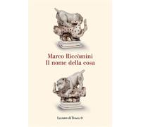 Il nome della cosa - Marco Riccòmini - La nave di Teseo + - ebook (ePub) - Livre