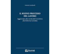 Il nuovo processo del lavoro