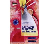 Il n'y a pas de cerveau des émotions