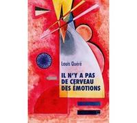 Il n'y a pas de cerveau des émotions