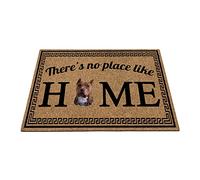 Il n'y A Pas D'Endroit comme À La Maison, Mignon Chiot Tapis De Porte Absorbant Tapis De Bain Anti-Poussière Paillasson De Bienvenue pour D'Entrée Bain Intérieur 40X60Cm