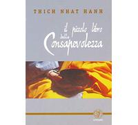 Il piccolo libro della consapevolezza