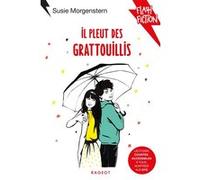 Il pleut des grattouillis Susie Morgenstern (Auteur)
