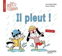 Il Pleut