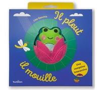 Il pleut, il mouille
