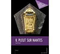 Il pleut sur Nantes - Daniel Braud - Publibook - broché - Roman