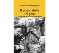 Il Posto Delle Fragole