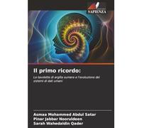 Il primo ricordo:: Le tavolette di argilla sumere e l'evoluzione dei sistemi di dati umani