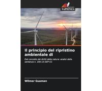 Il principio del ripristino ambientale di
