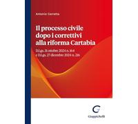 Il processo civile dopo i correttivi alla riforma Cartabia. D.Lgs. 31 ottobre 2024 n. 164 e D.Lgs. 27 dicembre 2024 n. 216