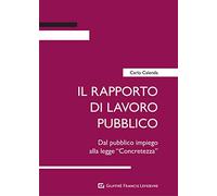 Il rapporto di lavoro pubblico. Dal pubblico impiego alla legge «Concretezza»