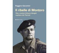 Il ribelle di Montoro. Vita e morte di Alvaro Litargini capitano dei Patrioti
