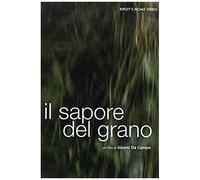 Il Sapore Del Grano Dvd Italian Import