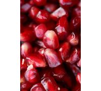 IL SEME DELLA VITA: Dal buio della terra alla luce della coscienza