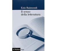 Il senso della letteratura