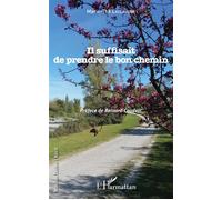 Il suffisait de prendre le bon chemin - Marie-Thé Laclaverie - L'harmattan - broché - Roman