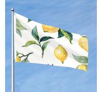 Il y a beaucoup de citrons sur les drapeaux de 90 x 60 cm avec œillets, mâts de drapeaux de jardin personnalisés