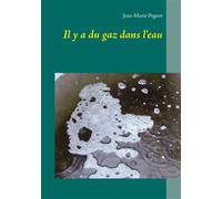 Il y a du gaz dans l'eau - Jean-Marie Pegeot - Books On Demand - broché - Roman