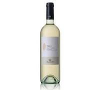 Ilauri TAVO Pinot Grigio IGT Delle Venezie