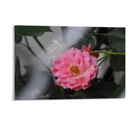 Ilcargoa Affiche de beauté cachée sur toile florale pour décoration murale de bureau, maison, cadeaux 50 x 75 cm