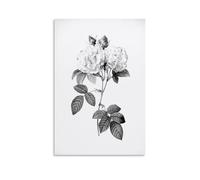 Ilcargoa Poster floral vintage gravé sur toile art peinture bureau maison décoration murale cadeaux 30 x 45 cm