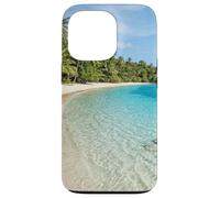 Île Tropicale, Plage, Eau Claire, Lagon, Palm Coast Coque pour iPhone 13 Pro