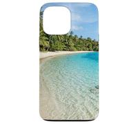 Île Tropicale, Plage, Eau Claire, Lagon, Palm Coast Coque pour iPhone 13 Pro Max